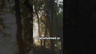 #Motivation #GitaWisdom #Shorts