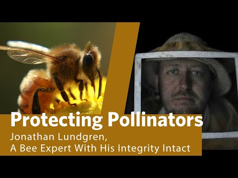 A Bee Expert With His Integrity Intact: Jonathan Lundgren, Former USDA Entomologist.