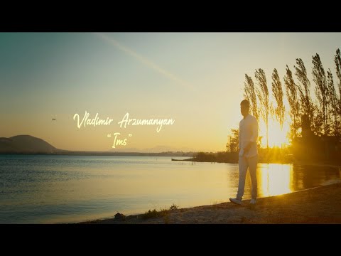 Vladimir Arzumanyan - Ims