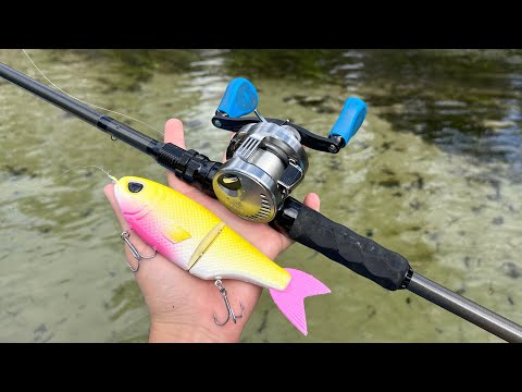 Fishing Big Swimbaits In Hidden Florida River