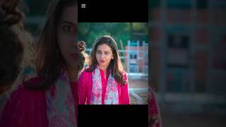 New South Movie Explained in Hindi #movie #movieexplainedinhindi #shortfeed