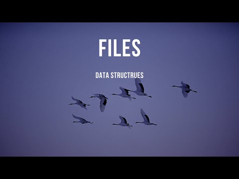 Python Data Structure Files