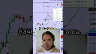 Gold support at  $3450 - $3446 after a $500 rally.