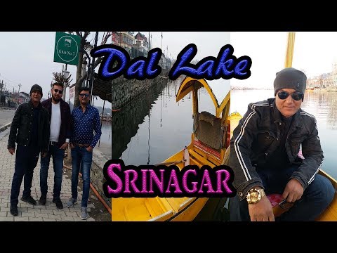 Dal Lake - Srinagar - Shikara Boat Ride [ Must Watch ]