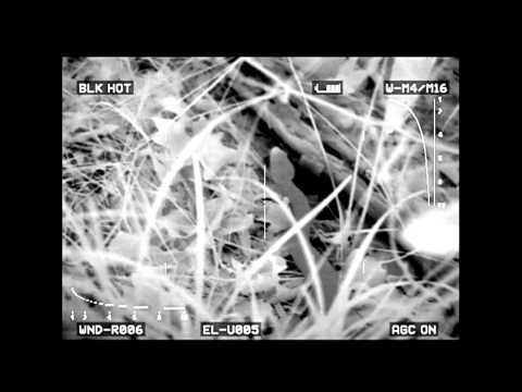 What a Snake Looks like at Night through Thermal and Gen 3 Night Vision