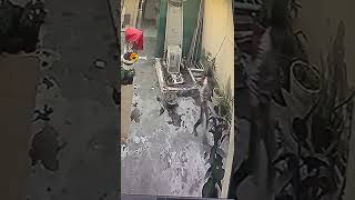 New comedy today video New Whatsaap  Status Today  Video iPhonecomedyvideo#tiktokviral  #viralshorts