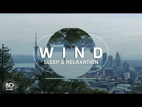 8D Wind | Relaxing Wind Sounds for Sleep & Relaxation | 6 Hours