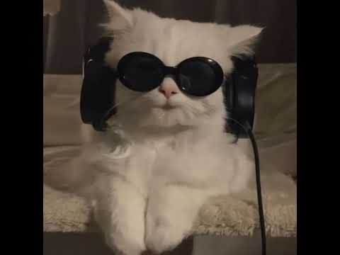 p2c Live Stream