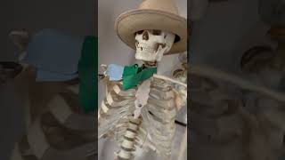 #lifeinsanfrancisco #artist #citylife #skeleton #northbeach