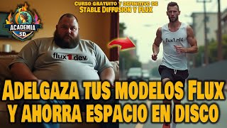 ADELGAZA TUS MODELOS FLUX Y AHORRA ESPACIO EN TU DISCO DURO