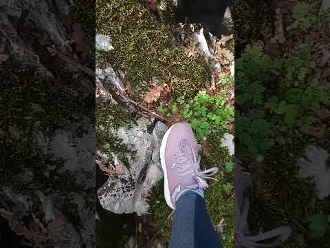 Off the trail - easy peasy