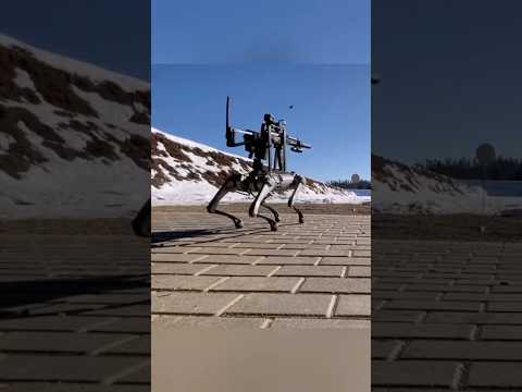 Robot dog Russian Gun testing #ai #robotdog