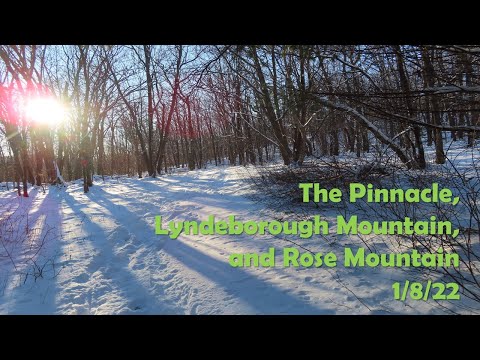 The Pinnacle / Piscataquog Land Conservancy Hike - 1/8/22