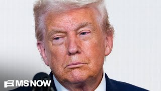 Questions about the role of racism in Trump's MAGA support follow offensive social media post