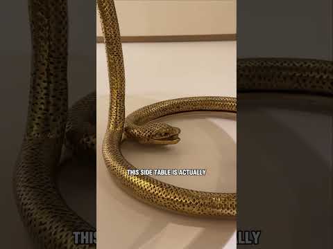 Snake lovers....