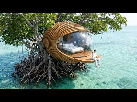 AI Architect Challenge: The Ultimate Off-Grid Mangrove Sanctuary 2026 (No Neighbors)