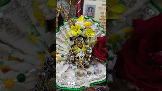 Krishna morning shorts #shorts #programerved #short #viralshorts