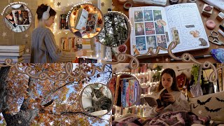READING VLOG | early november reads, catching up in my journals, crisp walks🍂