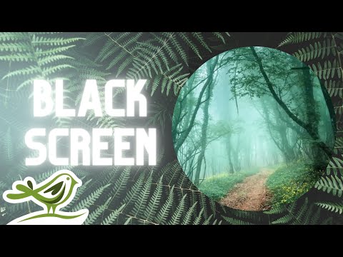 [NO ADS] Ancient Forest | Rain Sounds & Relaxing Fantasy Music for Sleep with Black Screen