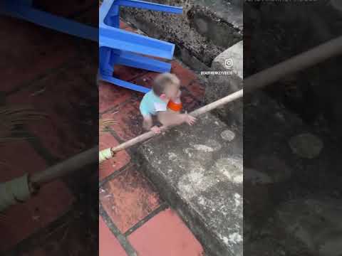 Baby monkey #facebook #automobile #haryanviculture #instagram #funny #haryanvimusic #tiktok #farming