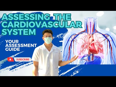 ASSESSING THE CARDIOVASCULAR SYSTEM