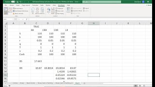 Leisen Reimer and Cox, Ross and Rubinstein estimation for Binary Options