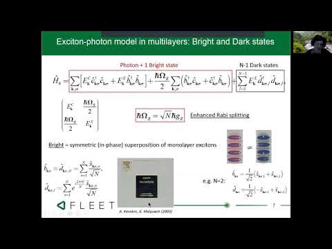 BLEU Olivier, Polariton interactions in cavities with multiple two-dimensional semiconductor layers