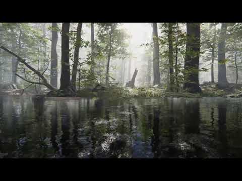 Water Shader HDRP - realistic scene example