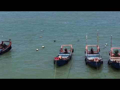 Dongji islands trailer