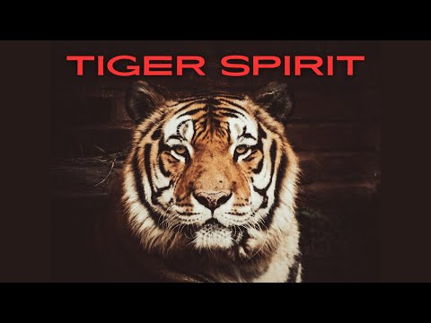 Channeling Your Inner Savage for Success - Best Motivational Speeches