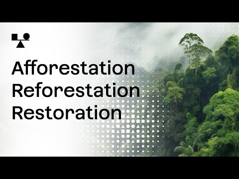 Afforestation, Reforestation and Restoration [ARR] | Sector Snapshot | BeZero Carbon