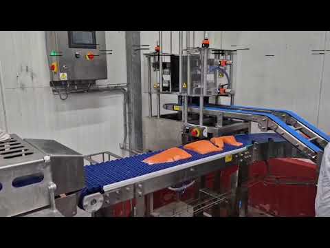 Tray Sealing & Print & Apply Labeling for Salmon Fish with Skin Film