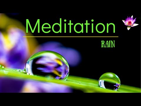 Mindfulness Meditation - Rain Meditation Music - Relaxing Music