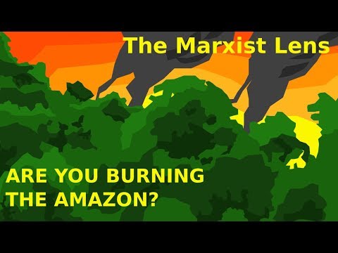 The Marxist Lens: Are You Burning the Amazon?