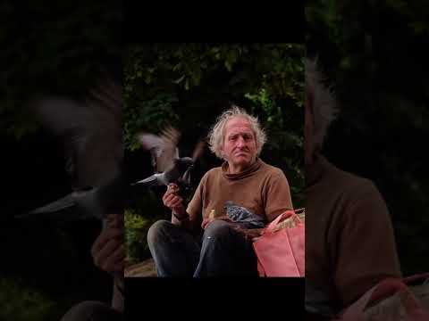 Photographer Prague beautiful people. Man with animals in the park