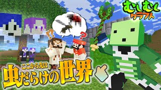 【マイクラ】あんな虫やこんな虫も！？虫がたくさんの世界に飛び込め！ #1【むしむしクラフト】