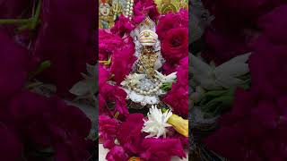 #shyam #shorts #radhekrishnakridhe #programerved