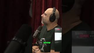 Billion-Dollar Security: Podcast Claims & Secret Service Details! (WTF)