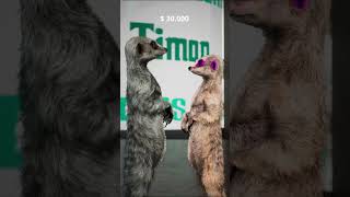 Dollar A Day Math?🤔💵 #TimonTheMeerkat #DollarADay #FunnyMath #MathMishap #SavingMoney