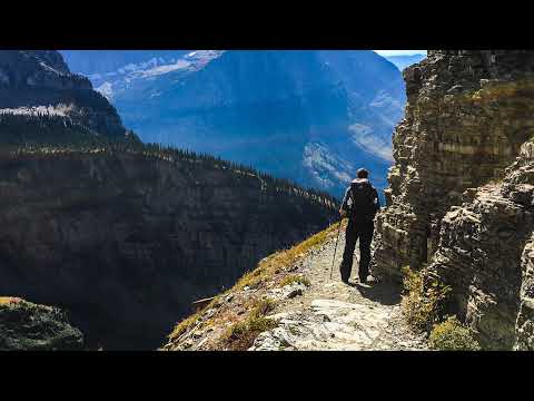 Mike Wanders Live Stream