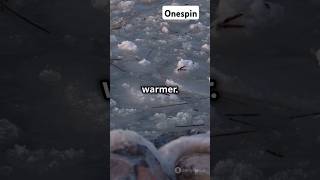 Why Does Ice Float? The Cool Science Explained!