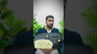 Understanding the Russia-Ukraine Crisis