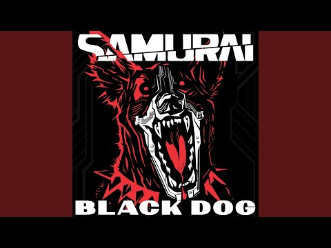 Black Dog