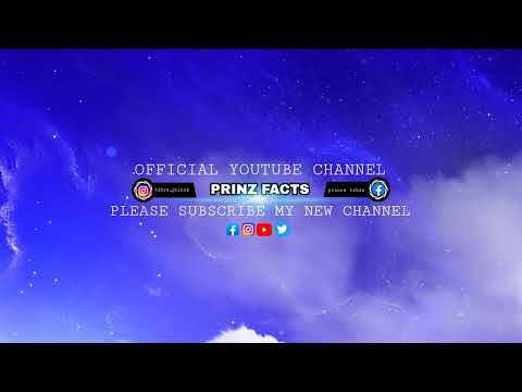 Prinz Facts Live Stream