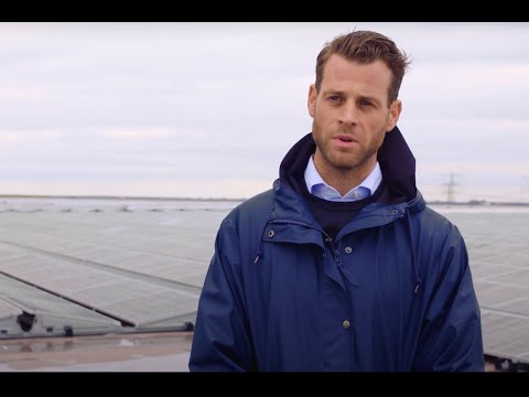 Completed Solar Panel Installation in the Port of Rotterdam
