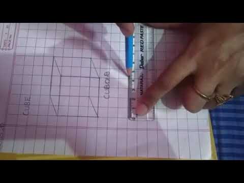 Class 2 maths :how to draw a cuboid