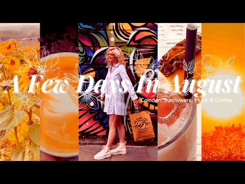 tiny vlog of a few days in august || camden, sunflowers, music & coffee 🌻