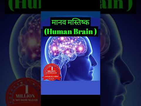Human Brain ( मानव मस्तिष्क ) | Amazing facts | #Shorts#Short #YoutubeShorts