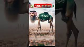 🕋 my music logo 🤲#ai #aicareers  👉#aiall #aitoday🕌👆👍