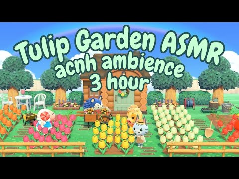 🌷🌷🌷 animal crossing’s most peaceful job: tulip farmer🐛| acnh spring gardening asmr🌱| 3 hour ☘️